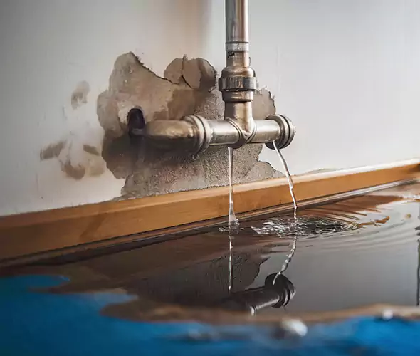 Professional Water Damage Restoration Experts in Reedley, CA — Fast, Reliable & Certified