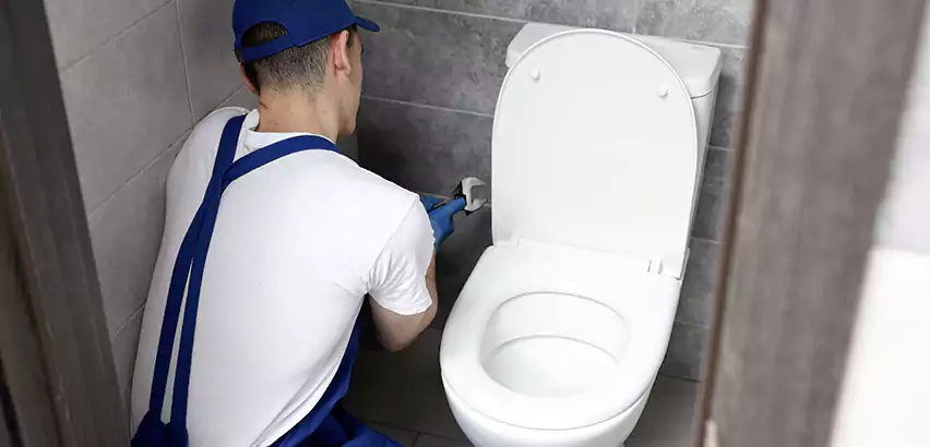 Toilet Lid Replacement in Reedley