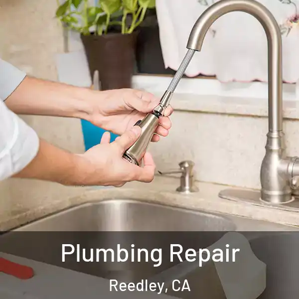  Plumbing Repair Reedley, CA