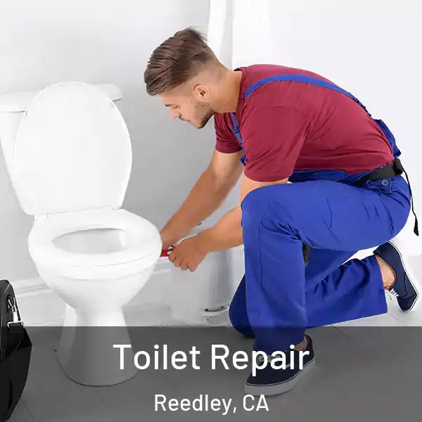  Toilet Repair Reedley, CA